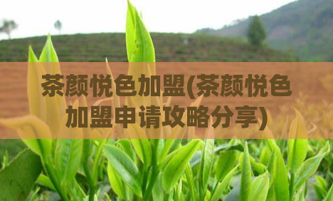 茶颜悦色加盟(茶颜悦色加盟申请攻略分享)