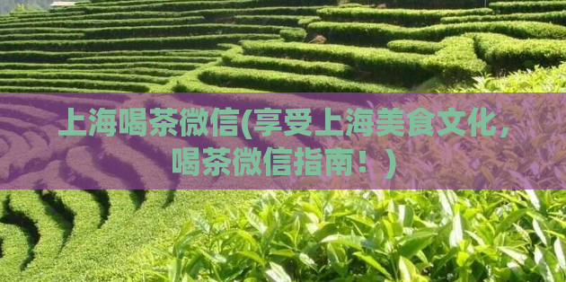上海喝茶微信(享受上海美食文化,喝茶微信指南!)