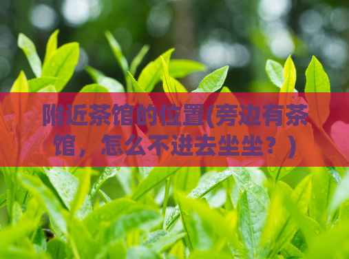 附近茶馆的位置(旁边有茶馆，怎么不进去坐坐？)