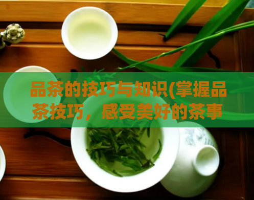 品茶的技巧与知识(掌握品茶技巧，感受美好的茶事体验)