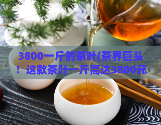 3800一斤的茶叶(茶界巨头！这款茶叶一斤高达3800元！)