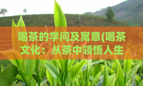 喝茶的学问及寓意(喝茶文化:从茶中领悟人生哲理)