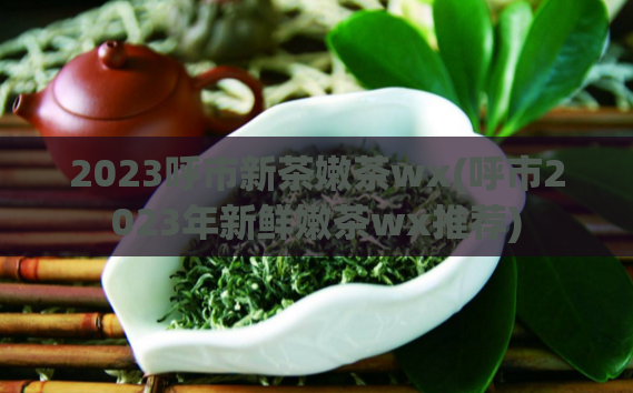 2023呼市新茶嫩茶wx(呼市2023年新鲜嫩茶wx推荐)