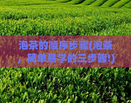泡茶的顺序步骤(泡茶，简单易学的三步骤!)
