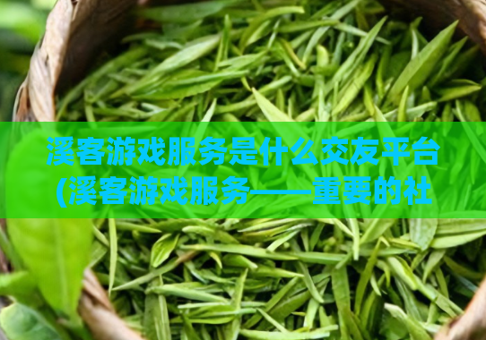 溪客游戏服务是什么交友平台(溪客游戏服务——重要的社交平台)
