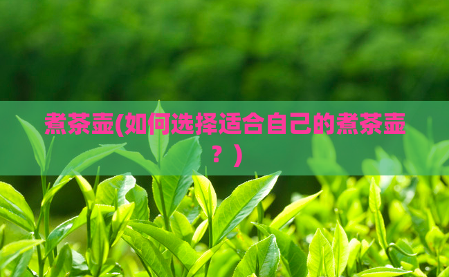 煮茶壶(如何选择适合自己的煮茶壶?)