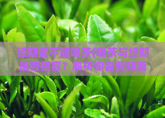 经期能不能喝茶(喝茶与经期是否相容?解析你需要知道的重要信息!)