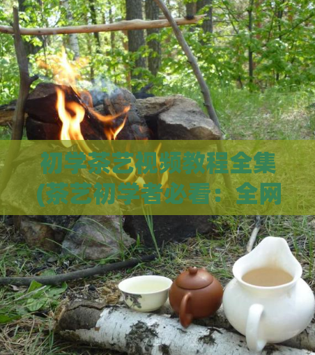 初学茶艺视频教程全集(茶艺初学者必看：全网最全的茶艺视频教程)
