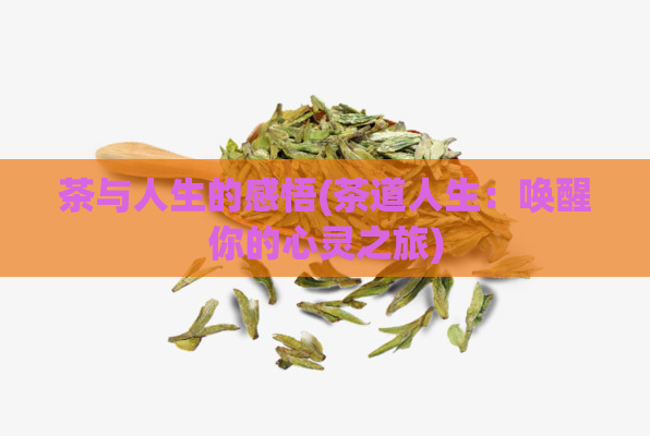 茶与人生的感悟(茶道人生：唤醒你的心灵之旅)