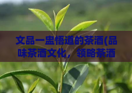 文品一盅悟道的茶酒(品味茶酒文化,领略茶酒之美)