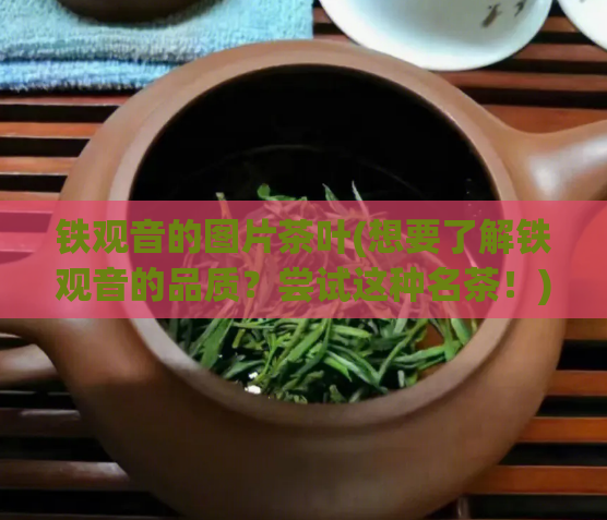 铁观音的图片茶叶(想要了解铁观音的品质？尝试这种名茶！)