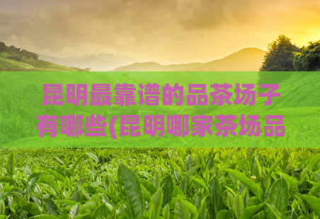昆明最靠谱的品茶场子有哪些(昆明哪家茶场品质最优？TOP品茶场推荐！)