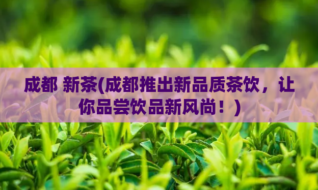 成都 新茶(成都推出新品质茶饮，让你品尝饮品新风尚！)
