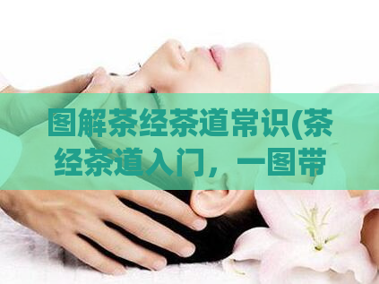 图解茶经茶道常识(茶经茶道入门，一图带你了解茶文化！)
