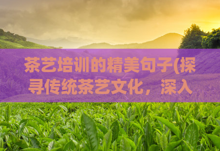 茶艺培训的精美句子(探寻传统茶艺文化，深入了解茶叶的精髓)