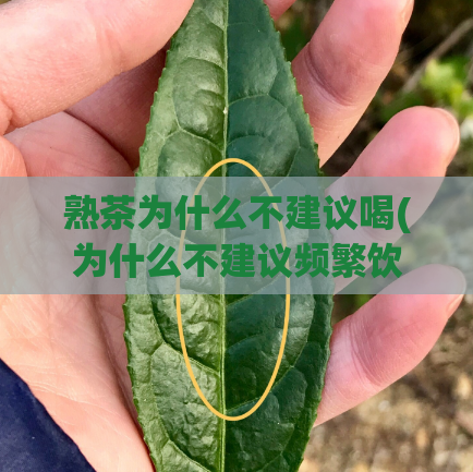 熟茶为什么不建议喝(为什么不建议频繁饮用熟茶？)