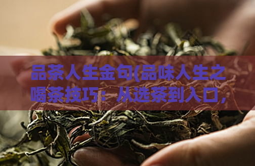 品茶人生金句(品味人生之喝茶技巧：从选茶到入口，你需要知道的所有信息)