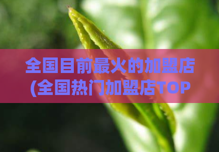 全国目前最火的加盟店(全国热门加盟店TOP1，投资小、回报高，赶快加入吧！)