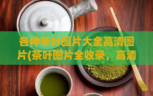 各种茶叶图片大全高清图片(茶叶图片全收录,高清大图一网打尽)