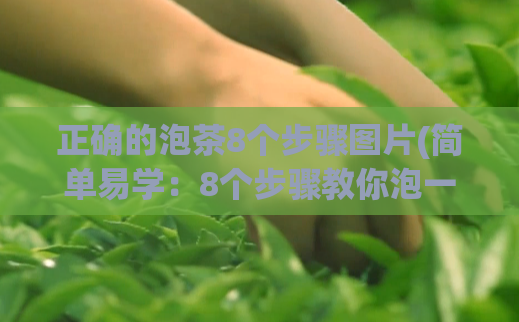 正确的泡茶8个步骤图片(简单易学：8个步骤教你泡一杯美味茶)