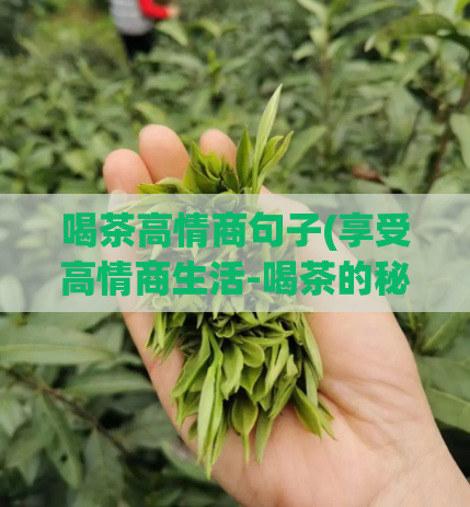喝茶高情商句子(享受高情商生活-喝茶的秘密)