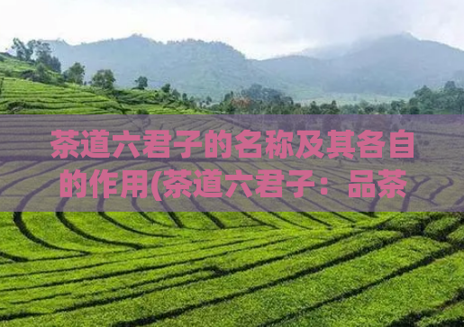 茶道六君子的名称及其各自的作用(茶道六君子:品茶必备,了解一下!)