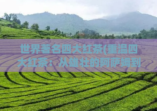 世界著名四大红茶(重温四大红茶：从雄壮的阿萨姆到红茶皇后的达累斯萨拉姆)