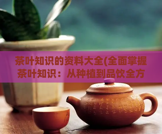 茶叶知识的资料大全(全面掌握茶叶知识：从种植到品饮全方位解读)