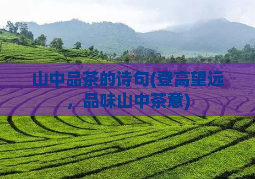 山中品茶的诗句(登高望远，品味山中茶意)