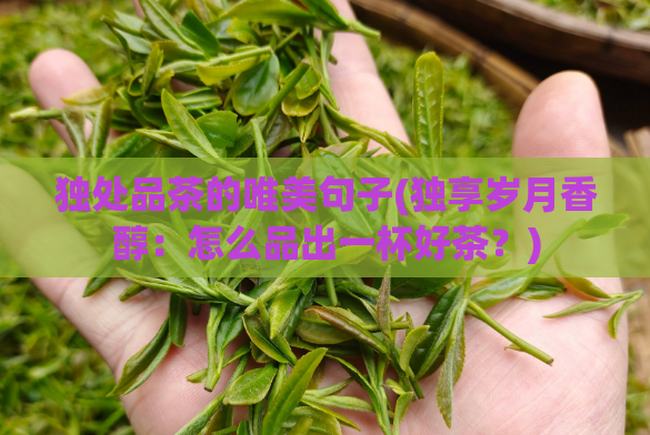 独处品茶的唯美句子(独享岁月香醇：怎么品出一杯好茶？)