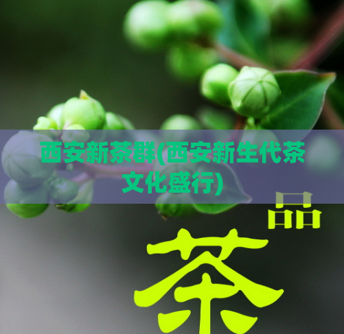 西安新茶群(西安新生代茶文化盛行)