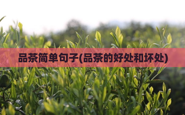 品茶简单句子(品茶的好处和坏处)