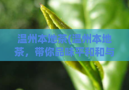 温州本地茶(温州本地茶，带你品味平和和与浓郁)