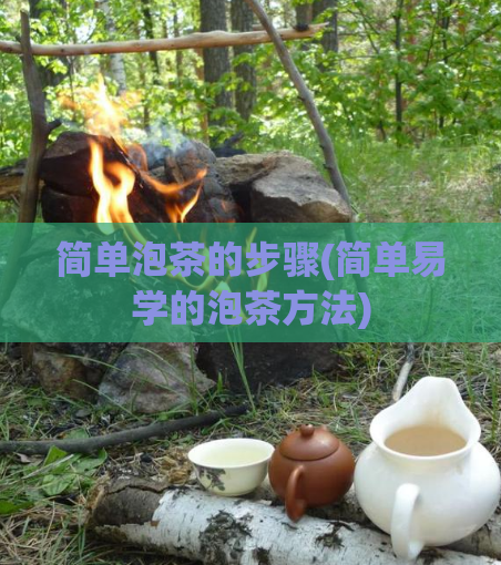 简单泡茶的步骤(简单易学的泡茶方法)