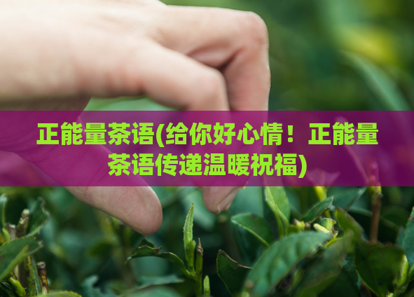 正能量茶语(给你好心情！正能量茶语传递温暖祝福)