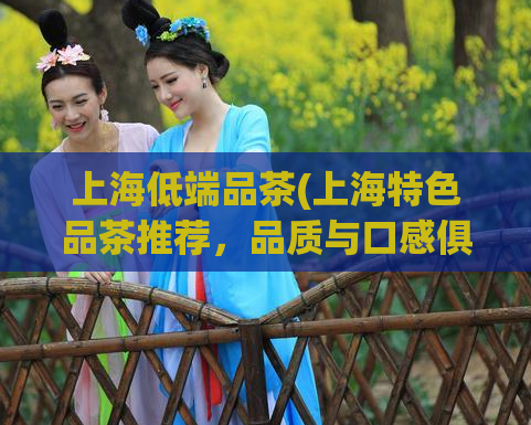 上海低端品茶(上海特色品茶推荐,品质与口感俱佳)