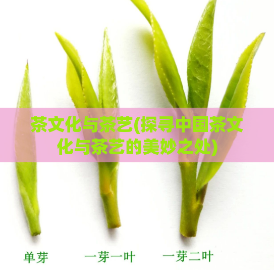 茶文化与茶艺(探寻中国茶文化与茶艺的美妙之处)