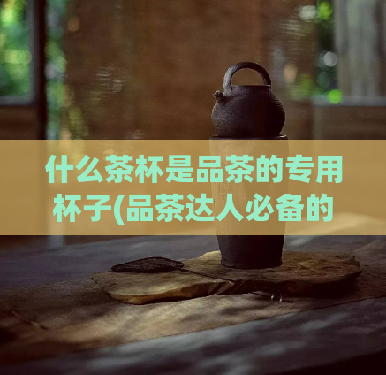 什么茶杯是品茶的专用杯子(品茶达人必备的茶杯款式,你知道吗?)
