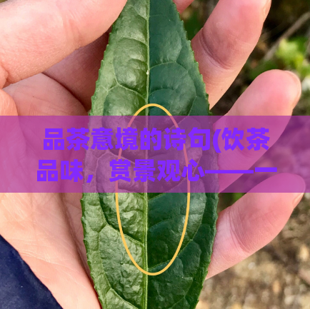 品茶意境的诗句(饮茶品味，赏景观心——一道茶文化的人文风景)