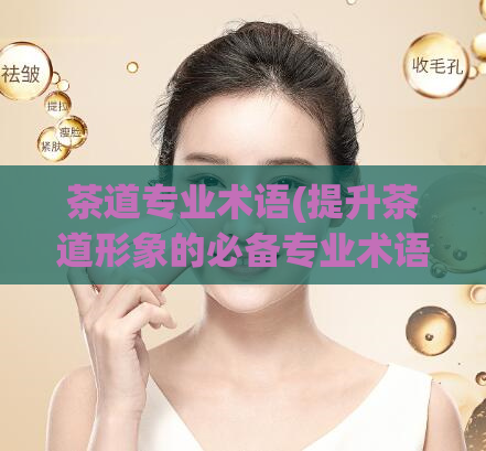 茶道专业术语(提升茶道形象的必备专业术语)