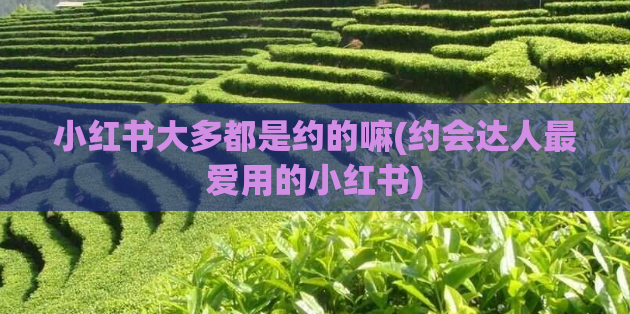 小红书大多都是约的嘛(约会达人最爱用的小红书)
