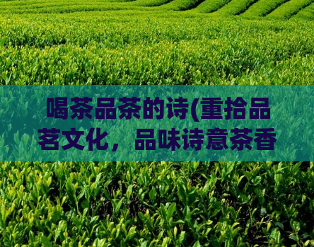 喝茶品茶的诗(重拾品茗文化，品味诗意茶香)