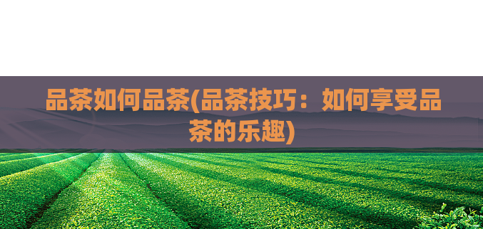 品茶如何品茶(品茶技巧：如何享受品茶的乐趣)