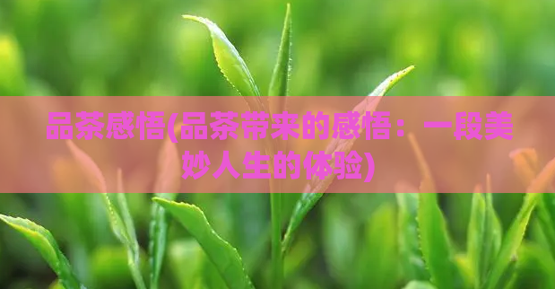 品茶感悟(品茶带来的感悟：一段美妙人生的体验)