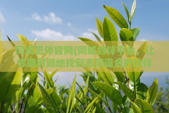 同城觅伴官网(同城约伴平台，让你随时随地找到志同道合的伙伴)