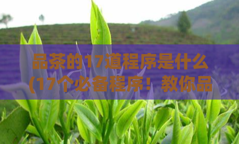 品茶的17道程序是什么(17个必备程序！教你品尝一杯完美的茶)