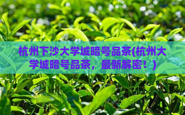 杭州下沙大学城暗号品茶(杭州大学城暗号品茶,最新解密!)