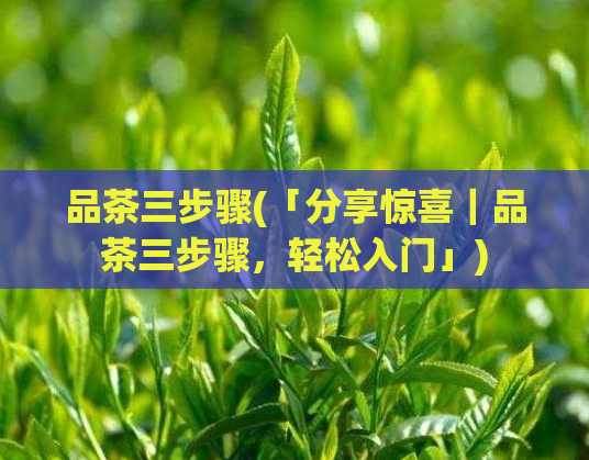 品茶三步骤(「分享惊喜|品茶三步骤,轻松入门」)