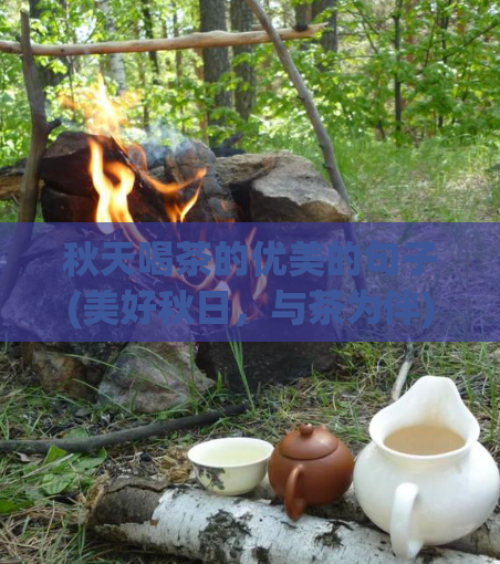 秋天喝茶的优美的句子(美好秋日，与茶为伴)