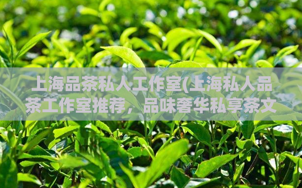 上海品茶私人工作室(上海私人品茶工作室推荐，品味奢华私享茶文化)